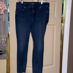Torrid Premium Stretch Skinny Jeans